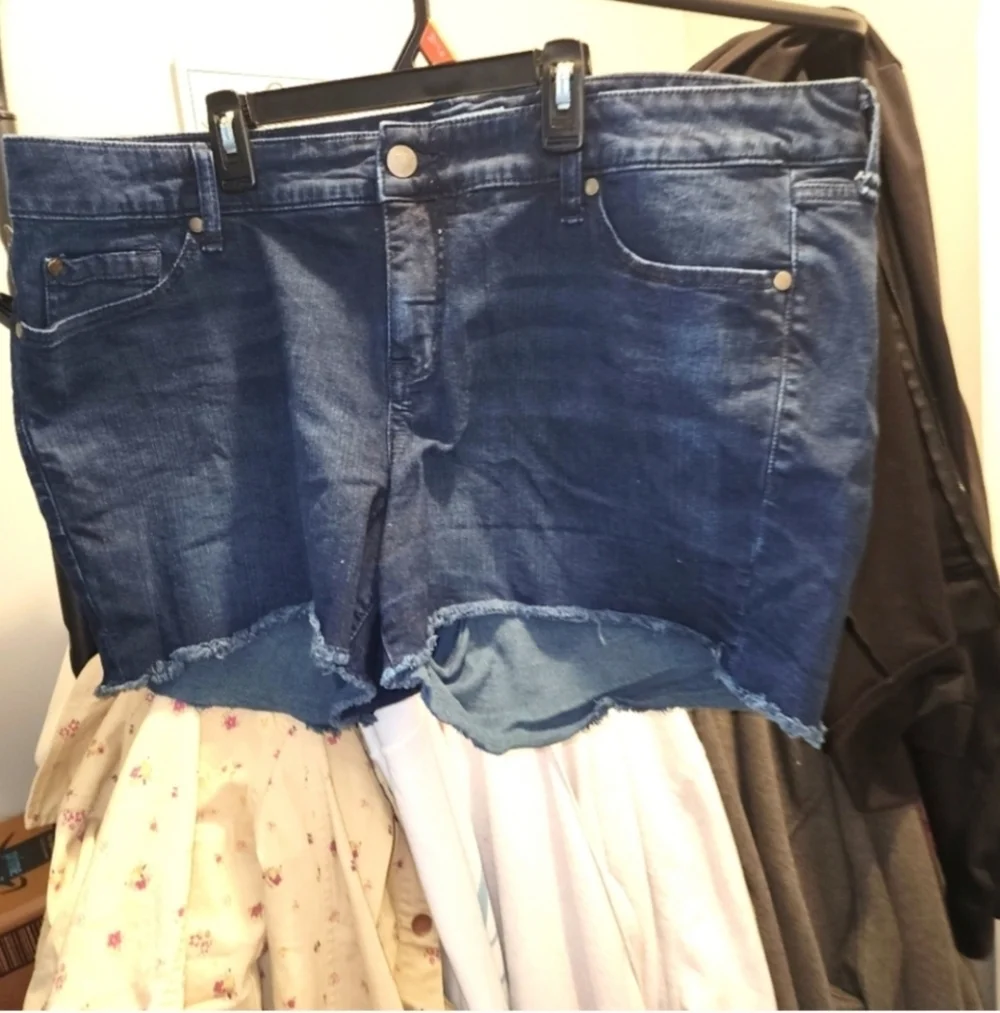 Torrid denim shorts size 20